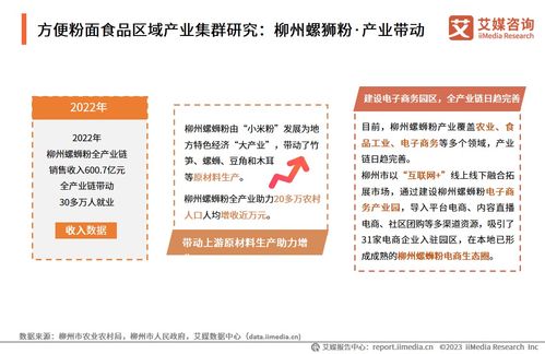 技术赋能与消费驱动 2024年中国方便粉面食品行业洞察与趋势展望——基于中国食品科学技术学会与艾媒咨询研究报告的交流探讨